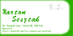 marton sesztak business card