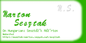 marton sesztak business card